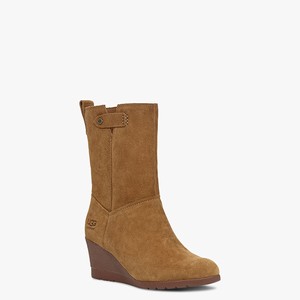 Ugg Potrero Suede Alla Väderstövlar Dam Bruna (736145OMN)